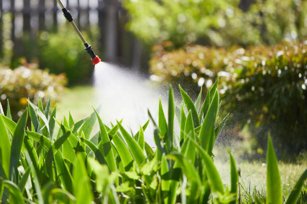 24/7 Emergency Mosquito Control experts in Horicon, WI
